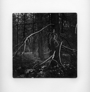 Sticks and Stones 20